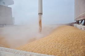 International Commodity Trade Inspection Sampling and Testing 